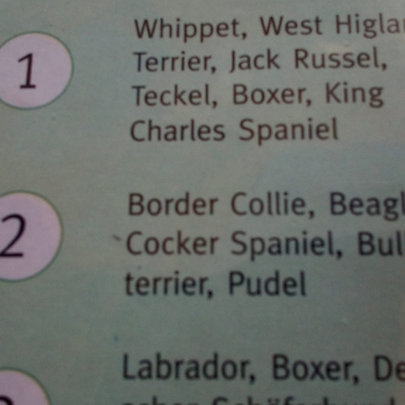 Easy 👢 Boot for Healing - Picture 3 of 5